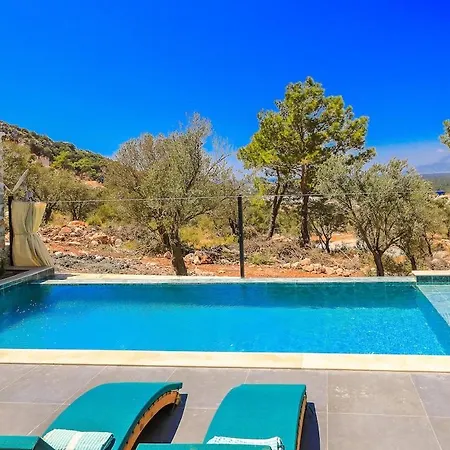 Romantic 1br Pool In Nature * Kalkan